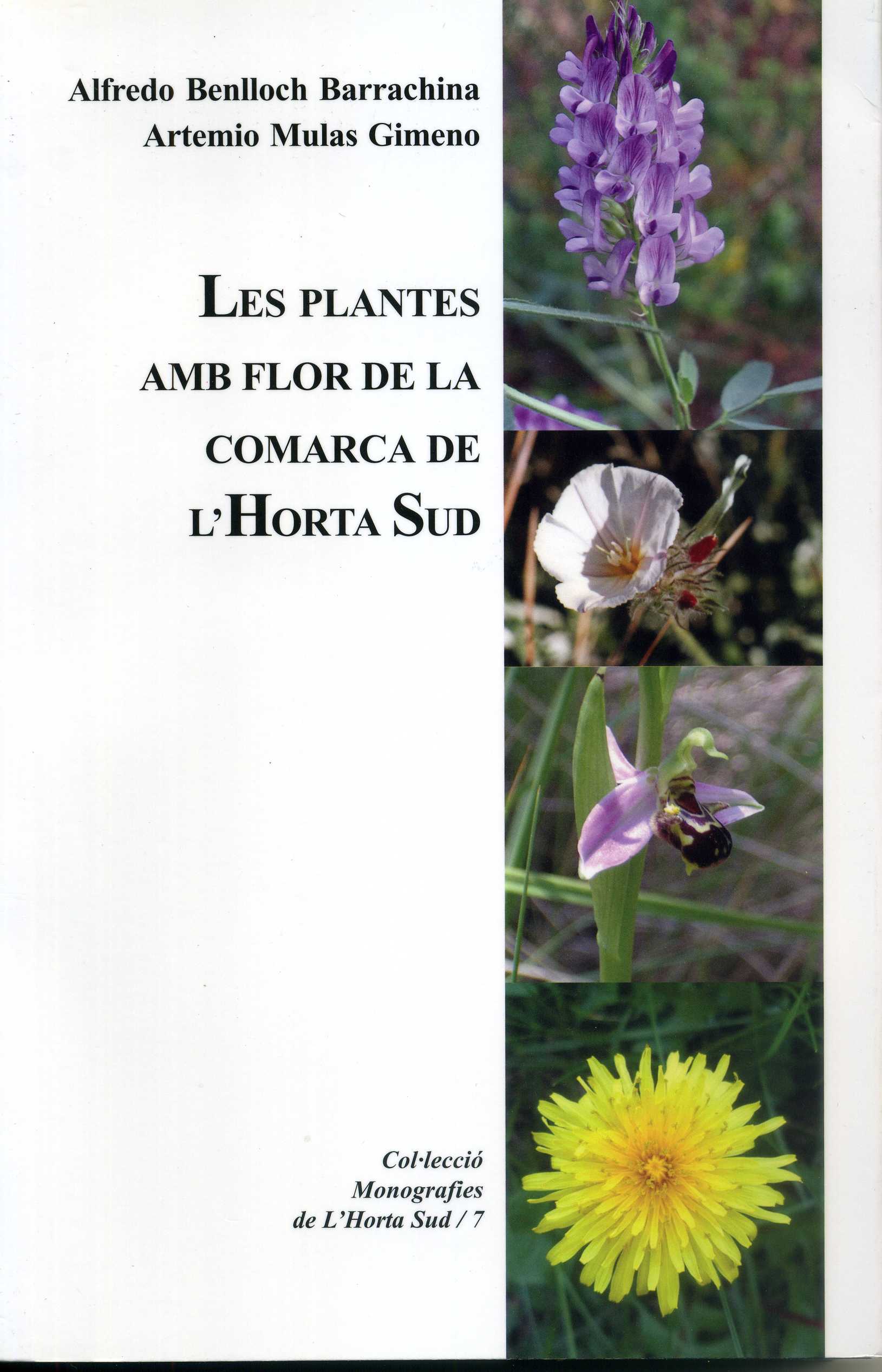 Les plantes amb flor de la comarca de l'Horta Sud