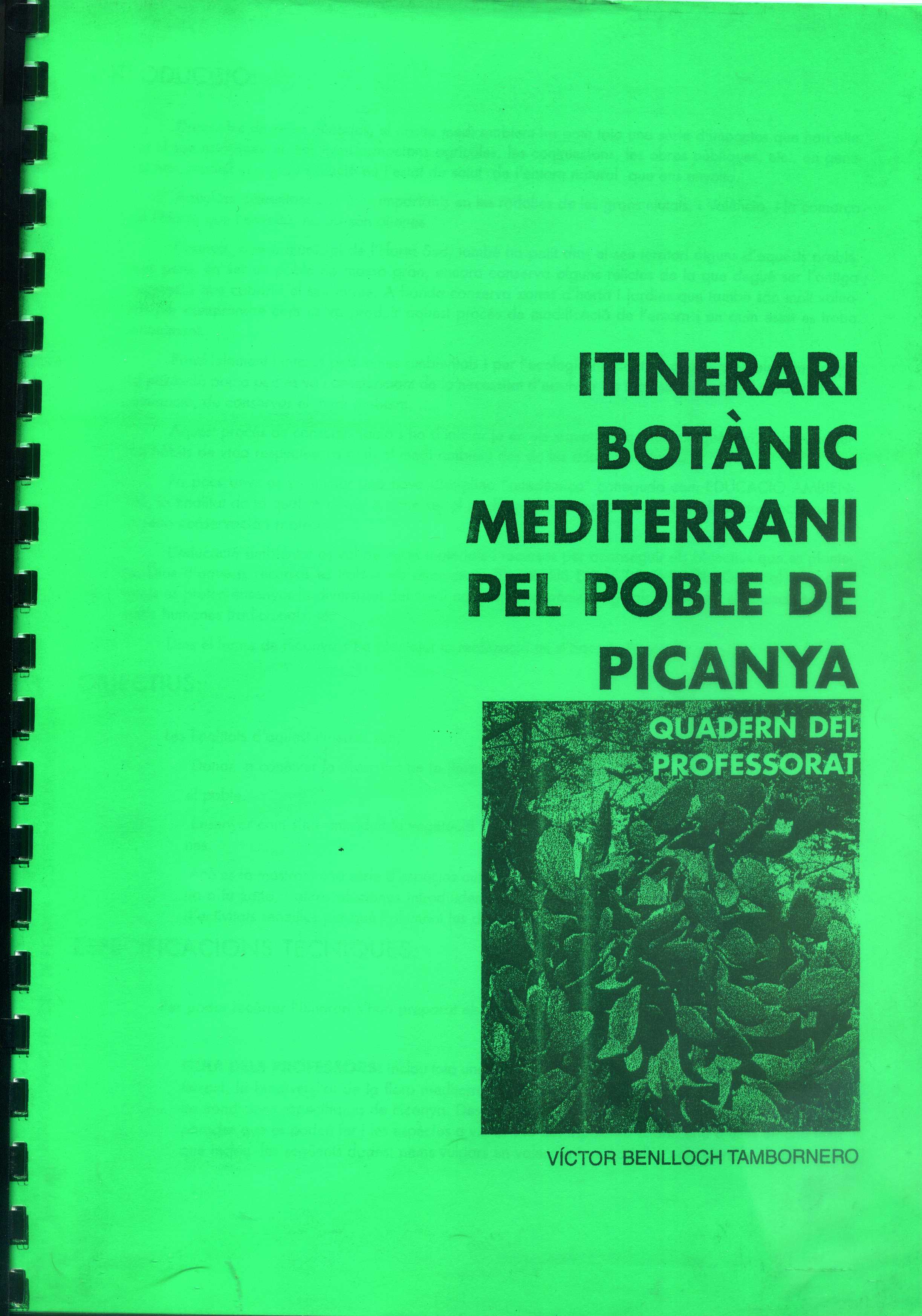 Itinerari botànic mediterrani del poble de Picanya